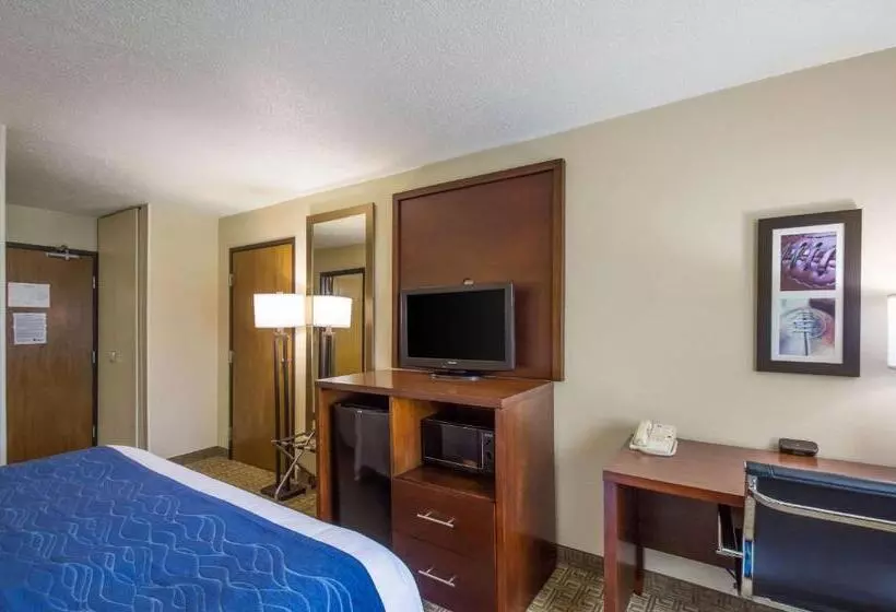 اتاق استاندارد با تخت بزرگ, Quality Inn & Suites