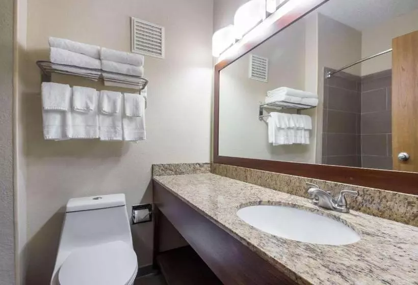اتاق استاندارد با تخت بزرگ, Quality Inn & Suites