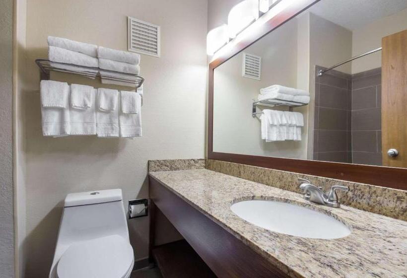 Номер Стандарт, Quality Inn & Suites