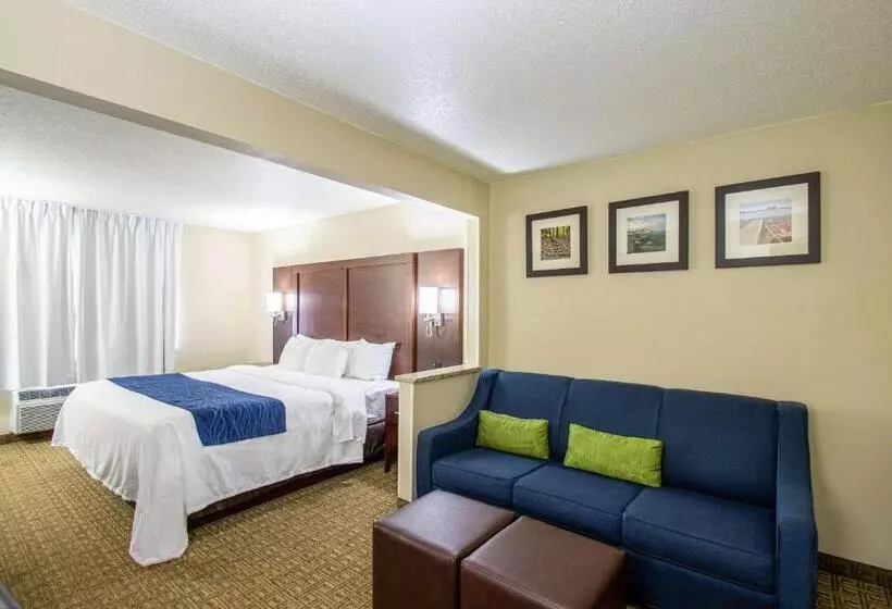 سوئیت با تخت بزرگ, Quality Inn & Suites