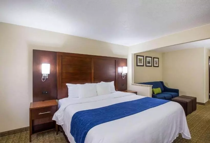 سوئیت با تخت بزرگ, Quality Inn & Suites