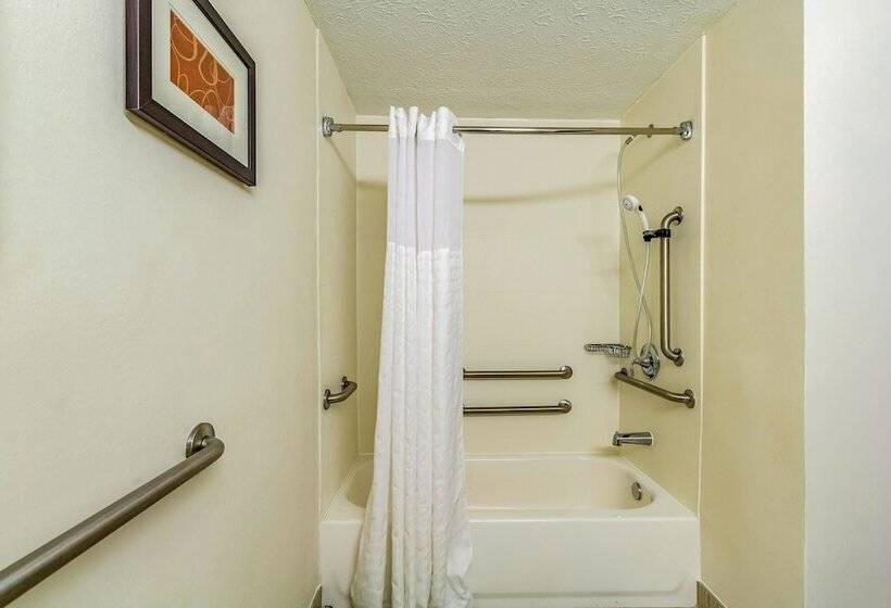 Номер Стандарт 2 Двуспальные Кровати, Comfort Inn