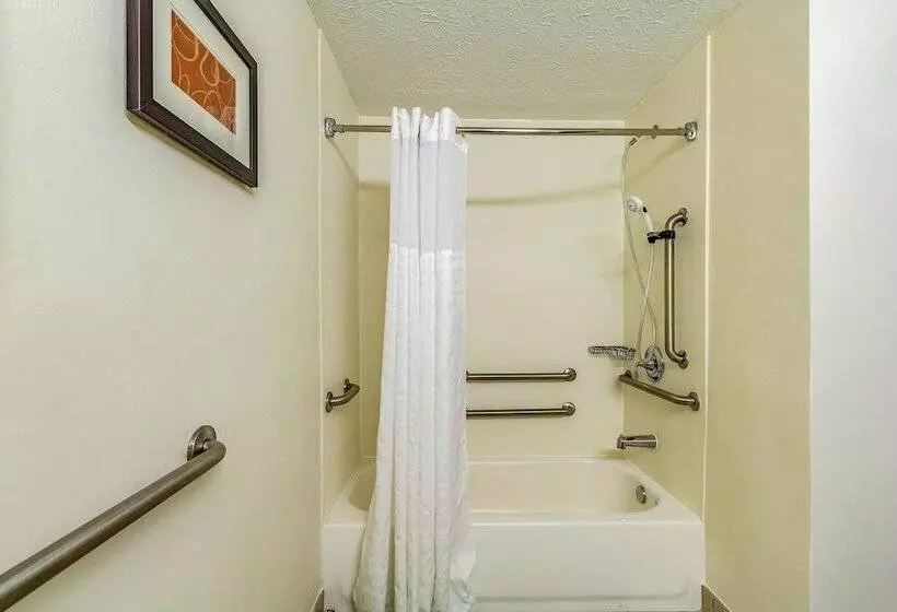 ２ダブルベッドのスタンダードルーム, Comfort Inn