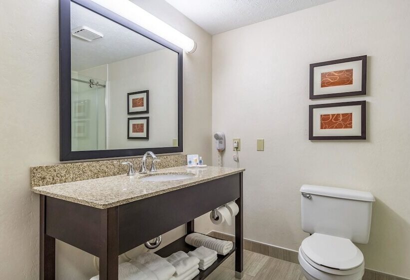 غرفه قياسيه سريرين مزدوجين, Comfort Inn