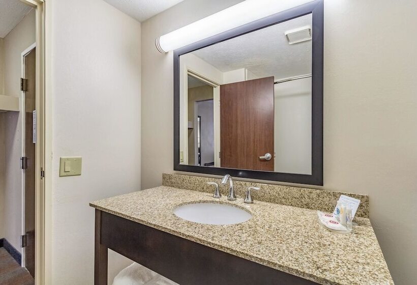 غرفه قياسيه سريرين مزدوجين, Comfort Inn