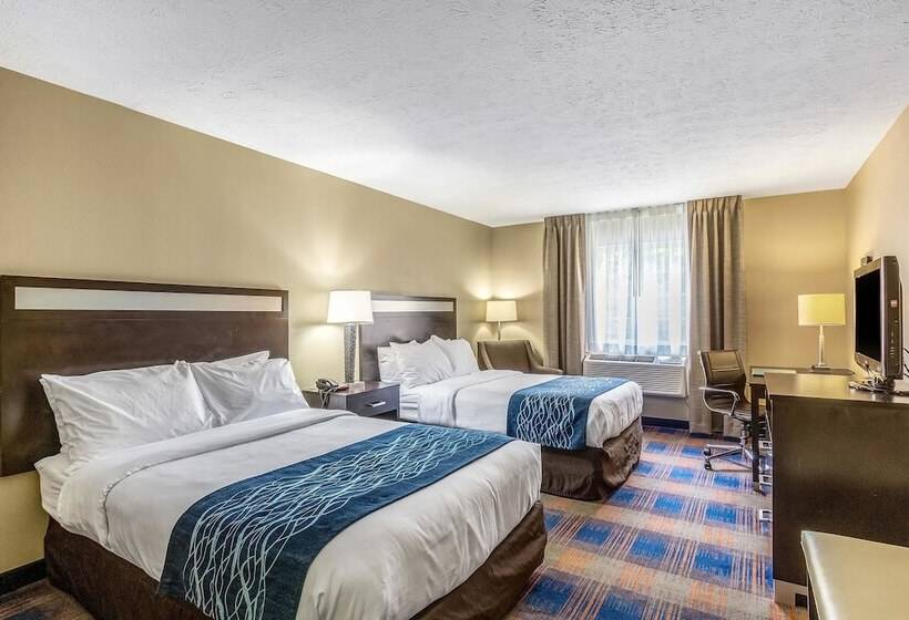 غرفه قياسيه سريرين مزدوجين, Comfort Inn