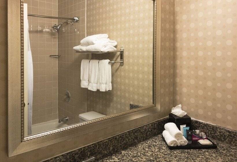 غرفة إدارية سرير كينج, Concord Plaza