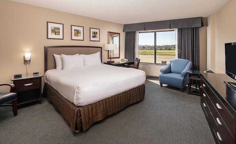 غرفة إدارية سرير كينج, Concord Plaza