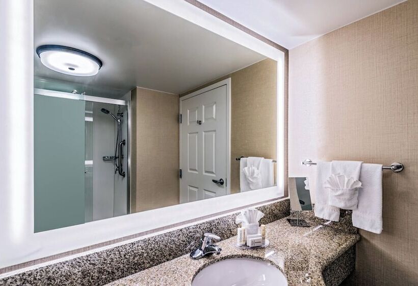 ダブルベッドスタンダードルーム, Courtyard By Marriott Charleston Historic District