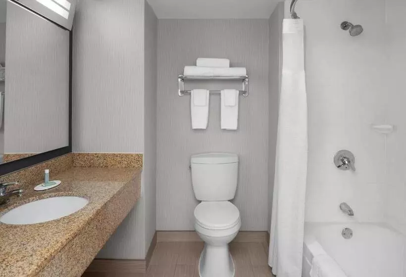 اتاق استاندارد با تخت بزرگ, Courtyard By Marriott Cypress Anaheim / Orange County