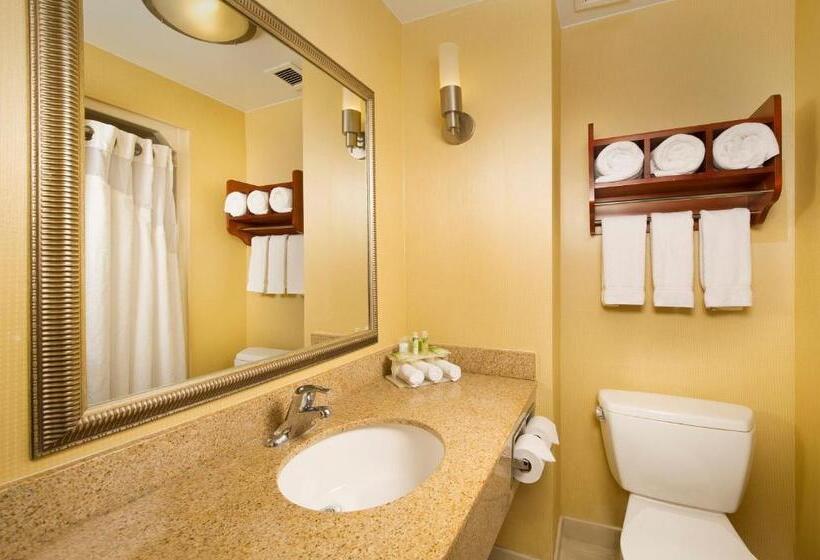 غرفة قياسية سرير كينج لذوى الإحتياجات الخاصة, Holiday Inn Express Washington Dc Bw Parkway, An Ihg