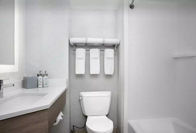 ２ダブルベッドのスタンダードルーム, Holiday Inn Express Washington Dc Bw Parkway, An Ihg