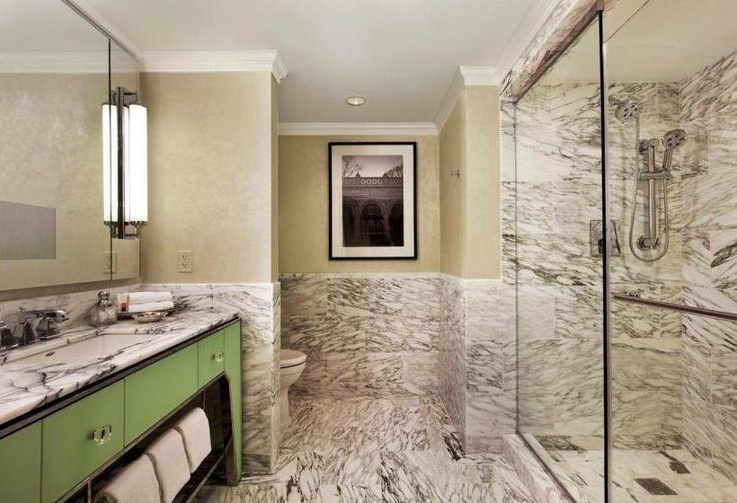 豪华房间, Loews Regency New York