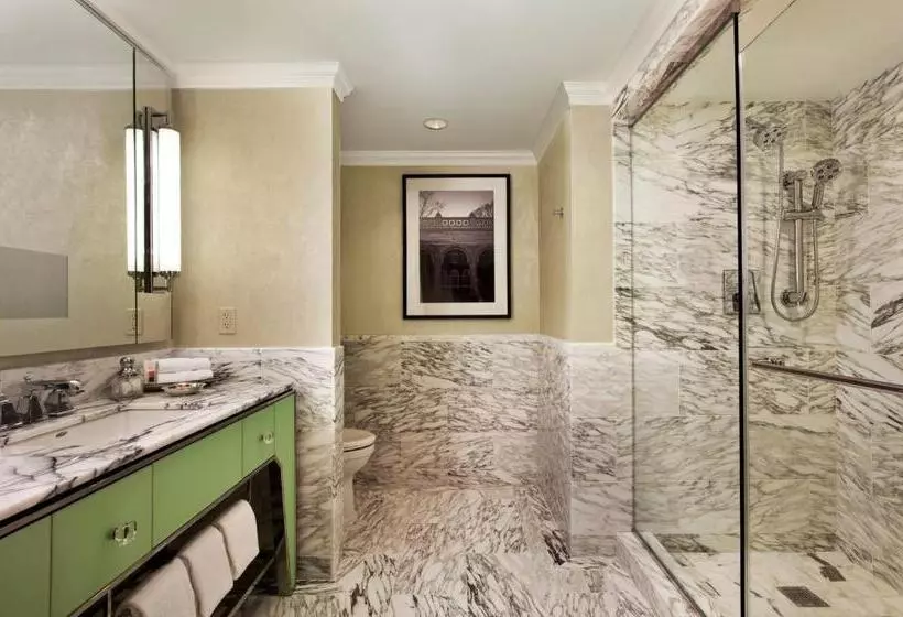 Deluxe-huone, Loews Regency New York
