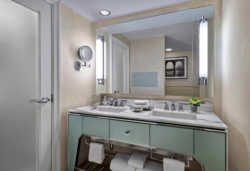 适用于残疾人士的豪华房间, Loews Regency New York