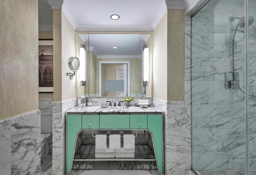 适合残疾人士使用的带超级大床的标准间, Loews Regency New York