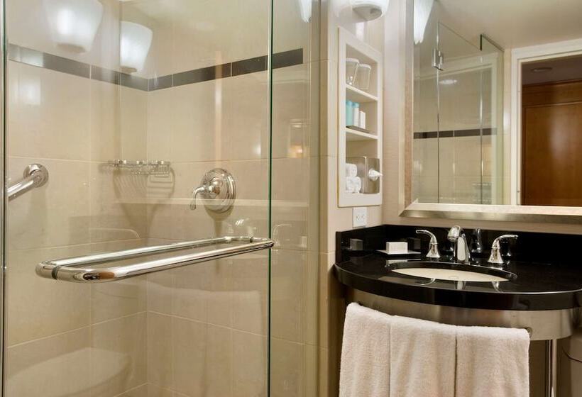 带2个双人床的标准工作室, New York Hilton Midtown