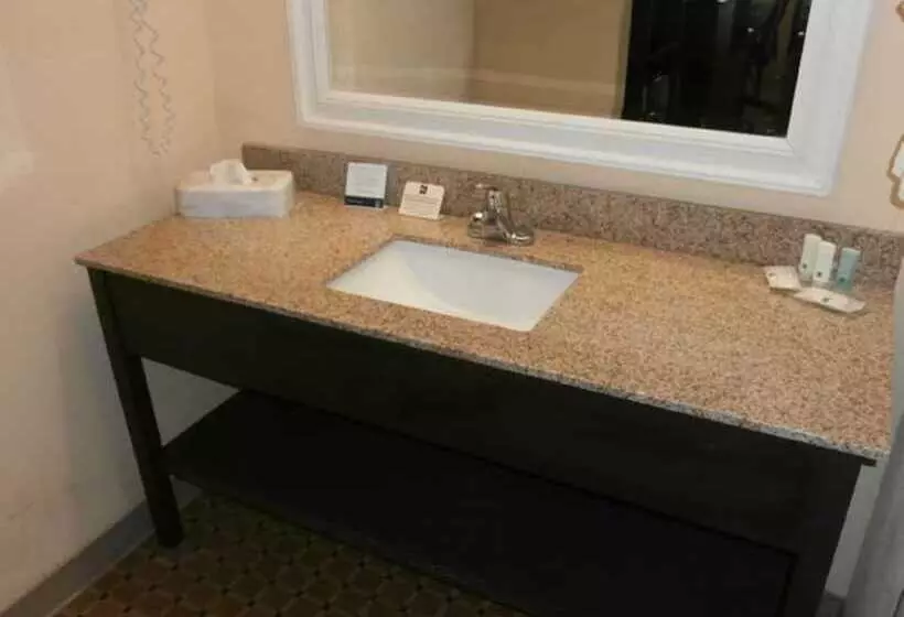 スイート, Quality Inn & Suites Aiken