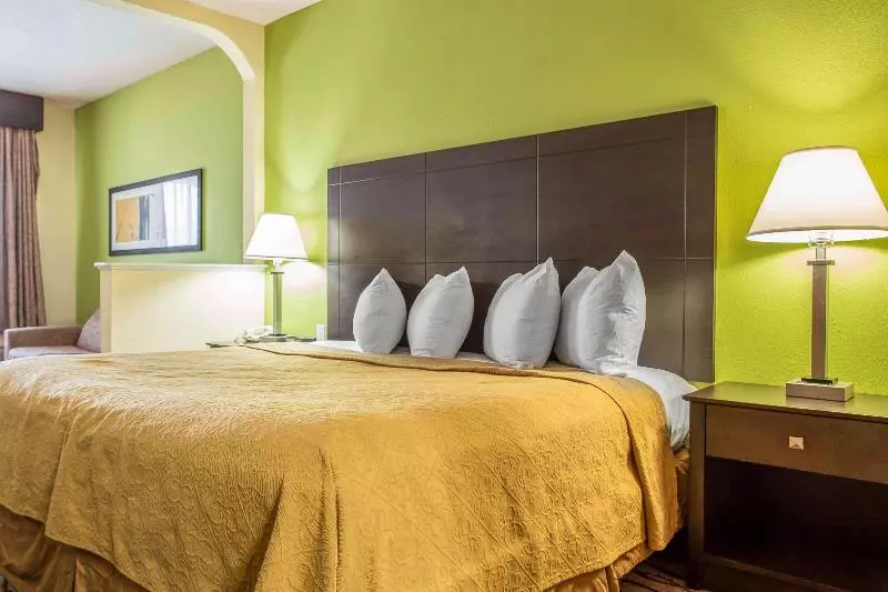 キングサイズベッドのスイートルーム, Quality Inn & Suites Aiken