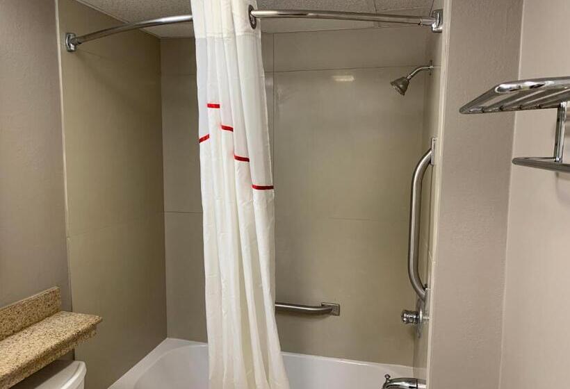 스탠다드 룸 킹사이즈 침대, Red Roof Inn & Suites Vineland Buena