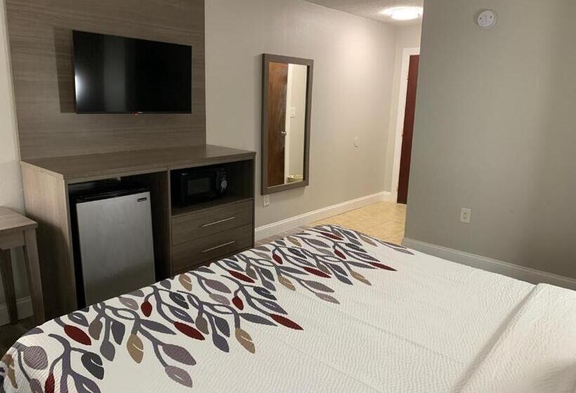 غرفة ديلوكس سرير كينج, Red Roof Inn & Suites Vineland Buena