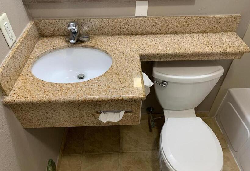 디럭스 룸 킹사이즈 침대, Red Roof Inn & Suites Vineland Buena