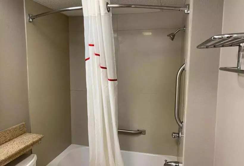 キングサイズベッドのスイートルーム, Red Roof Inn & Suites Vineland Buena