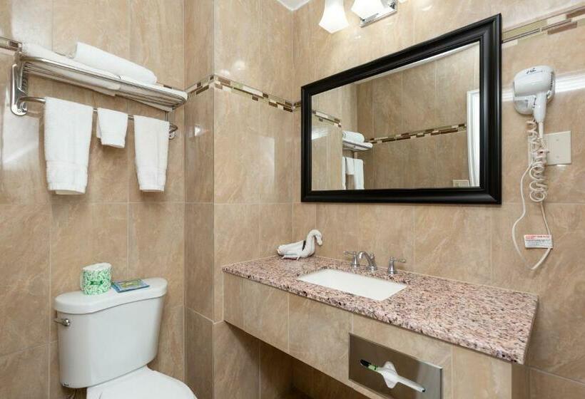 스탠다드 룸 킹사이즈 침대, Stay Express Inn Elko