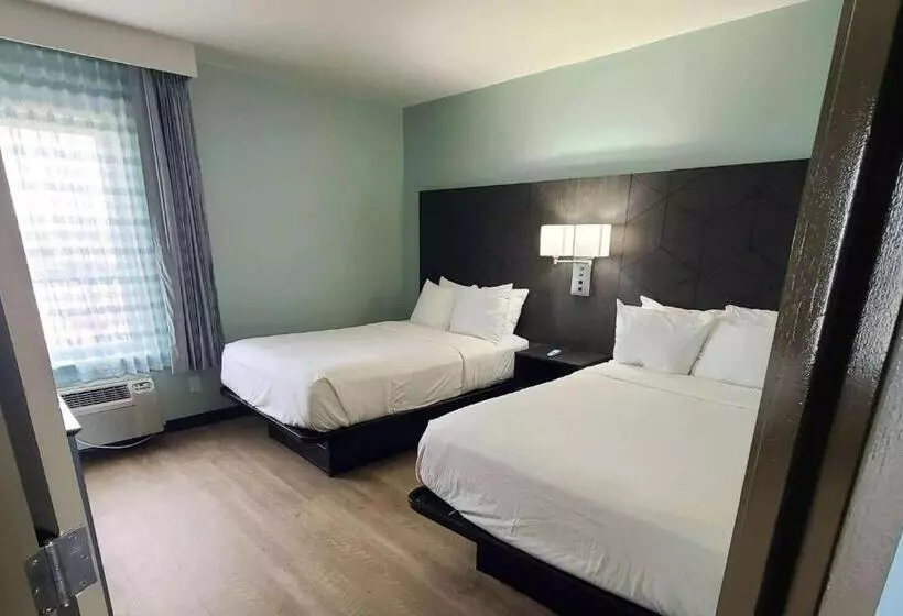 身障者適用スタンダードルーム, Ocean Reef Suites