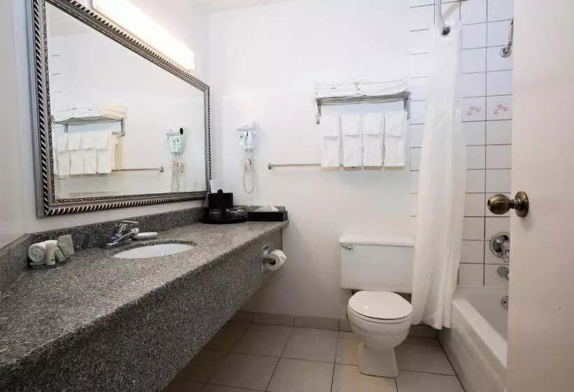 اتاق استاندارد, Tower Inn & Suites