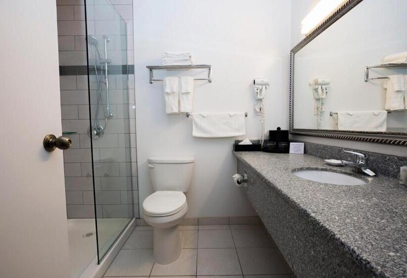 غرفة قياسية, Tower Inn & Suites