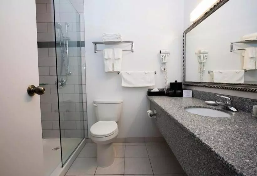 اتاق استاندارد, Tower Inn & Suites