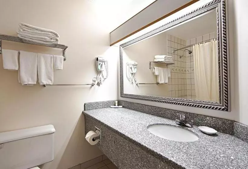 اتاق استاندارد با تخت بزرگ, Tower Inn & Suites