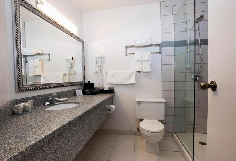 اتاق استاندارد با تخت بزرگ, Tower Inn & Suites