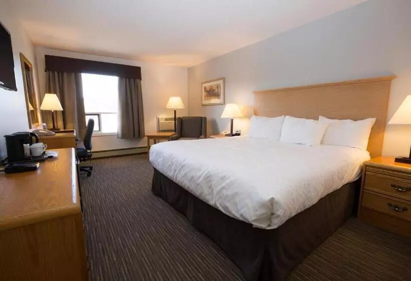 اتاق استاندارد با تخت بزرگ, Tower Inn & Suites