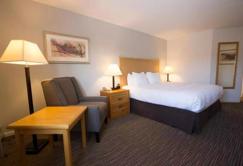 اتاق استاندارد با تخت بزرگ, Tower Inn & Suites