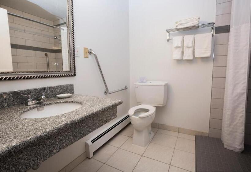 غرفة قياسية لذوى الاحتياجات الخاصة, Tower Inn & Suites