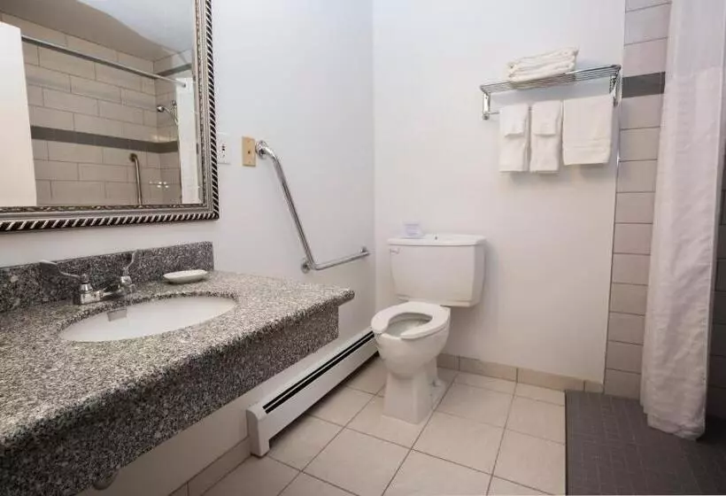 اتاق استاندارد برای معلولان, Tower Inn & Suites