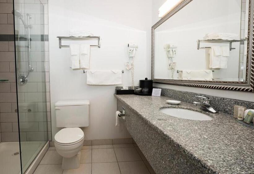 اتاق اجرایی با تخت بزرگ, Tower Inn & Suites