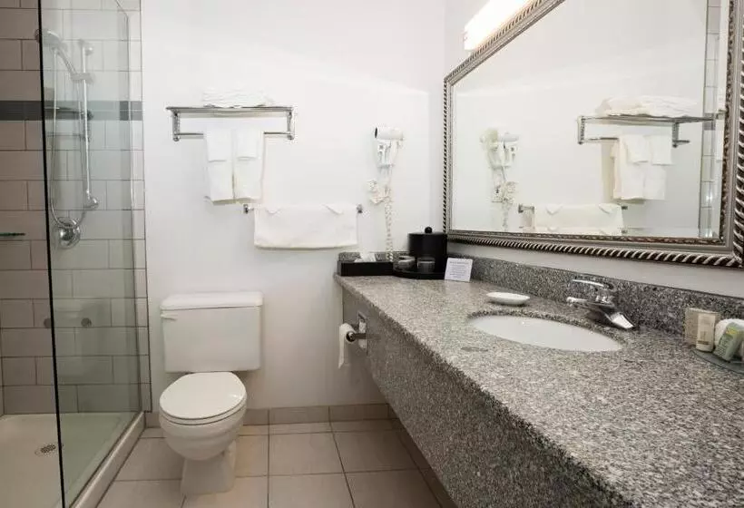اتاق اجرایی با تخت بزرگ, Tower Inn & Suites