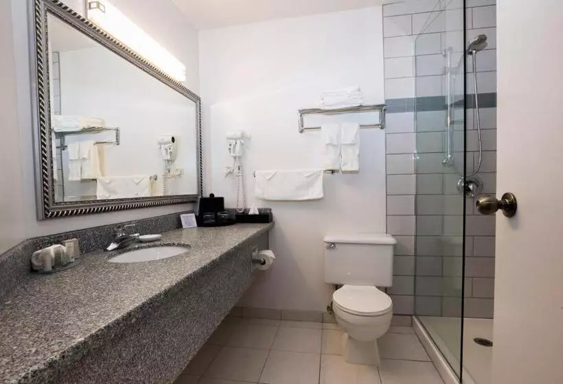 اتاق اجرایی با تخت بزرگ, Tower Inn & Suites