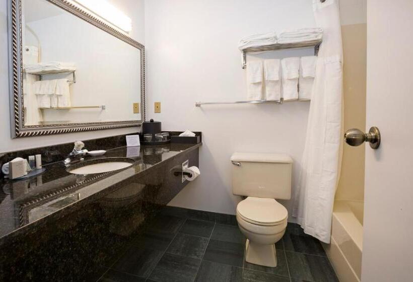 سوئیت 2 خوابه, Tower Inn & Suites