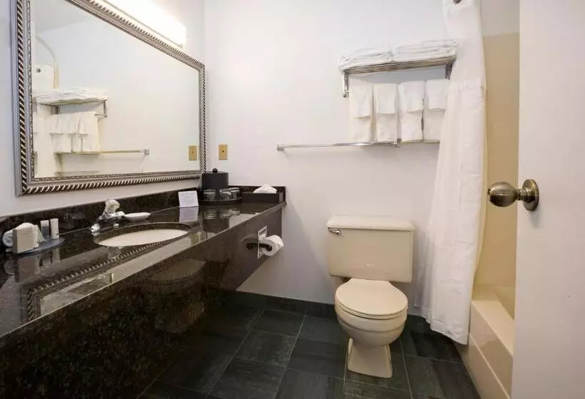 سوئیت 2 خوابه, Tower Inn & Suites