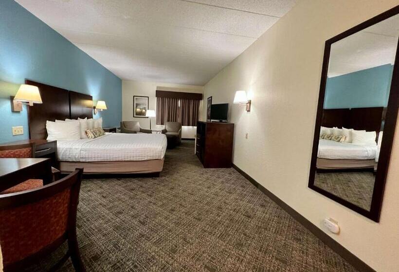 Стандартный Номер Кровать Кинг, Best Western Port Clinton