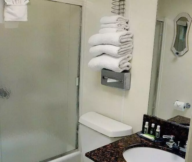 اتاق استاندارد با تخت بزرگ, Centerstone Plaza Hotel Soldiers Field   Mayo Clinic Area