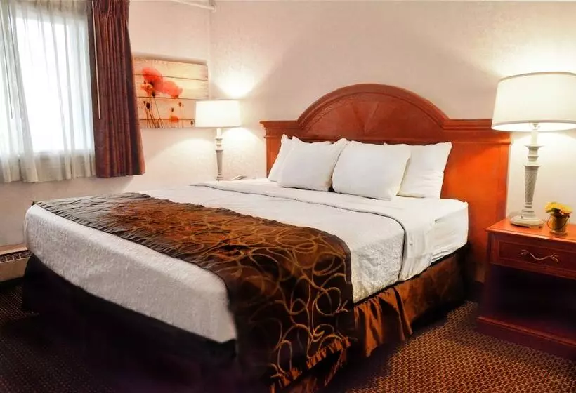اتاق استاندارد با تخت بزرگ, Centerstone Plaza Hotel Soldiers Field   Mayo Clinic Area
