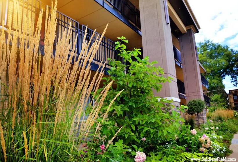 带大床的标准间, Centerstone Plaza Hotel Soldiers Field   Mayo Clinic Area