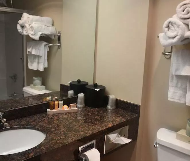 اتاق استاندارد برای معلولان, Centerstone Plaza Hotel Soldiers Field   Mayo Clinic Area