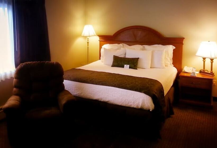 适合残疾人使用的标准间, Centerstone Plaza Hotel Soldiers Field   Mayo Clinic Area