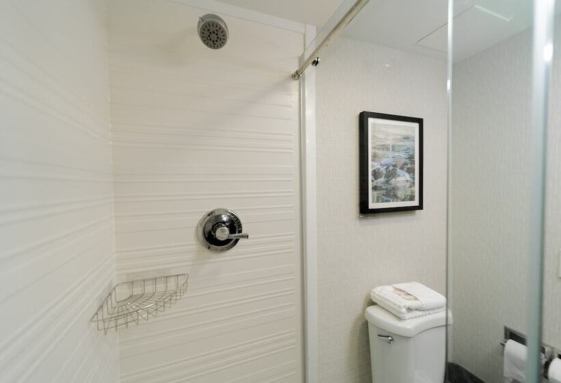 جناح, Comfort Inn & Suites Wyomissing Reading